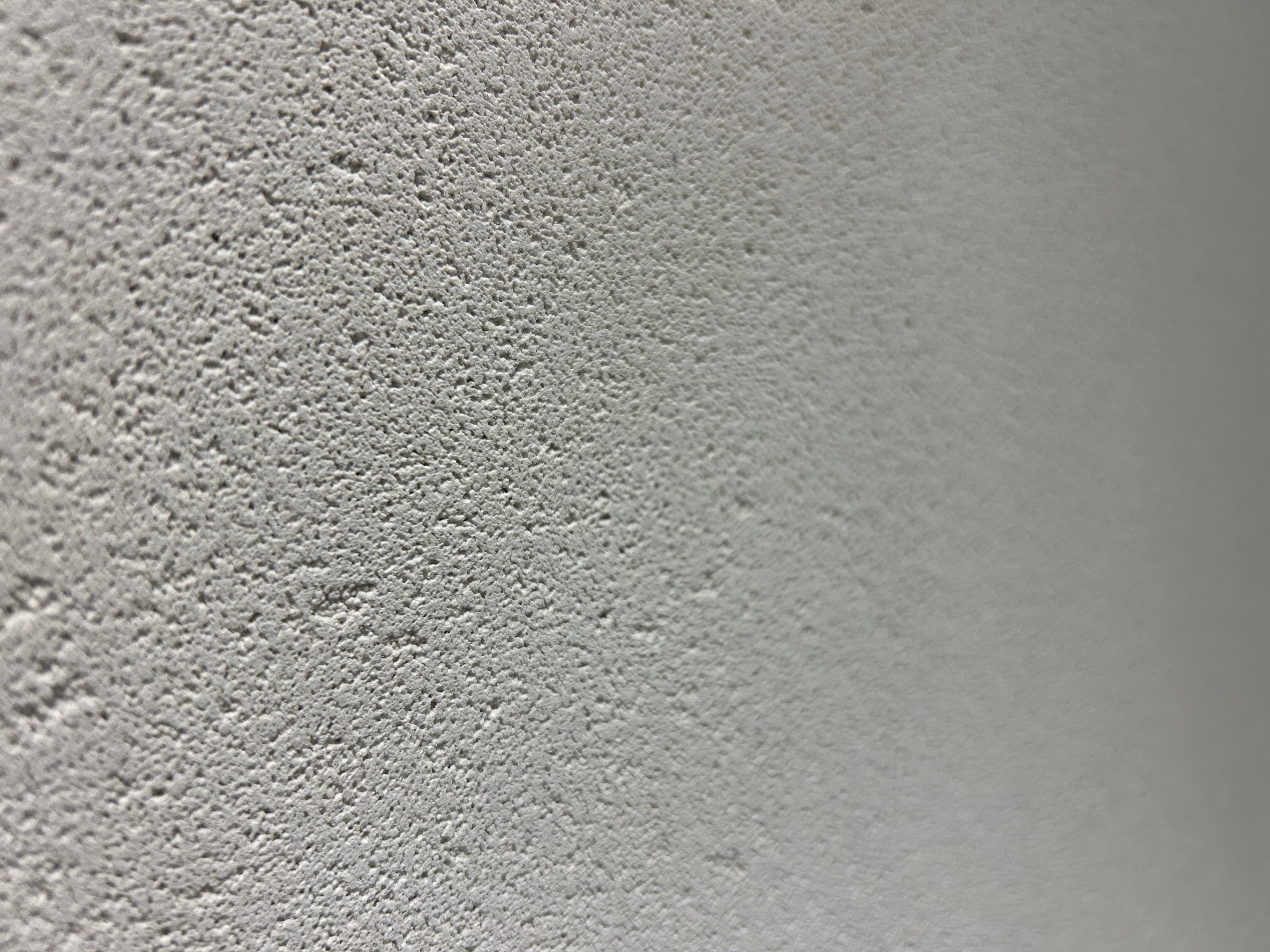 Clay Lime Plaster Project