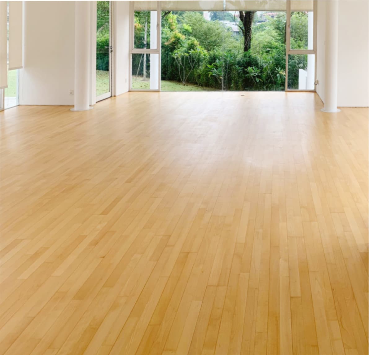 Prospecsurfaces|Beech