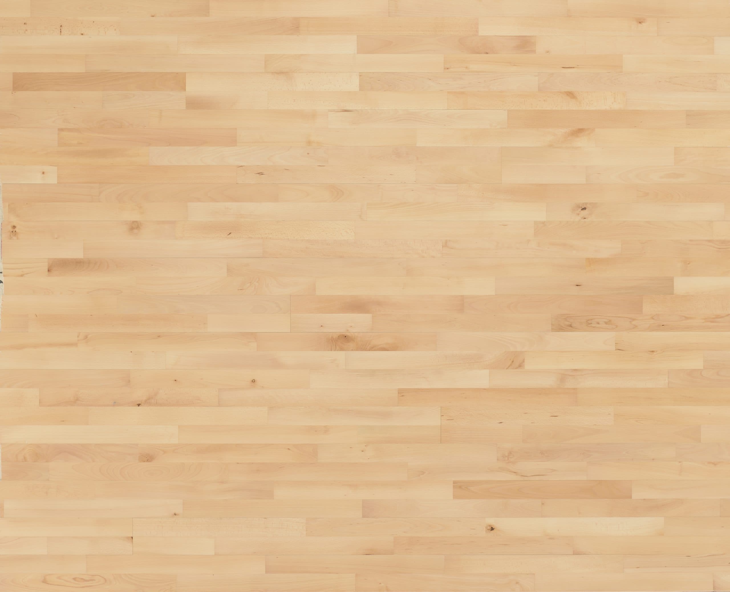 Prospecsurfaces|Beech